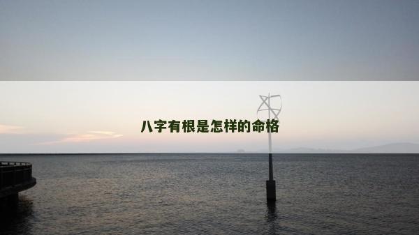 八字有根是怎樣的命格