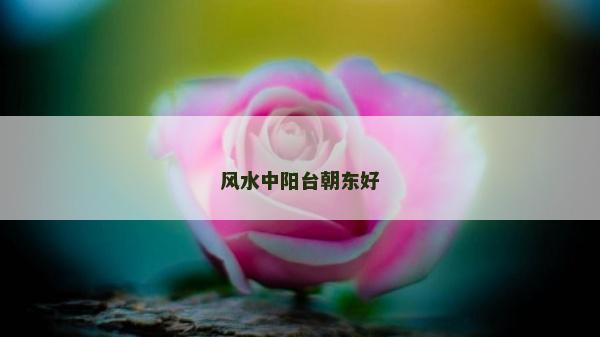風水中陽臺朝東好