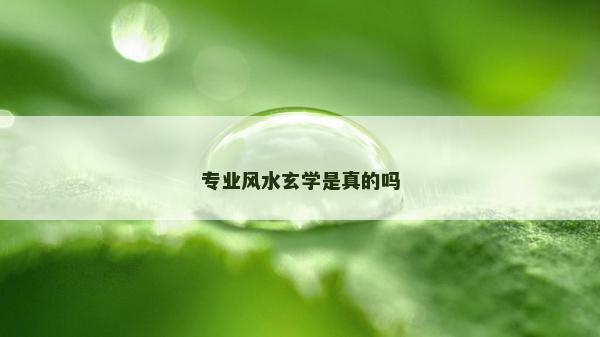 專業風水玄學是真的嗎 專業風水玄學是真的嗎