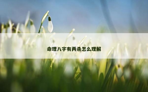 命理八字有兩殺怎么理解