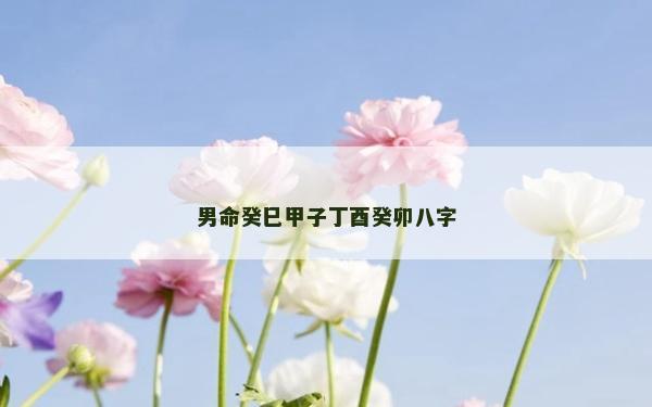 男命癸巳甲子丁酉癸卯八字