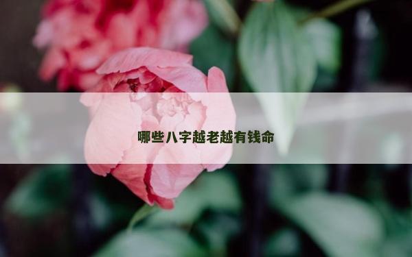 哪些八字越老越有錢命