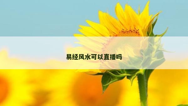 易經(jīng)風(fēng)水可以直播嗎