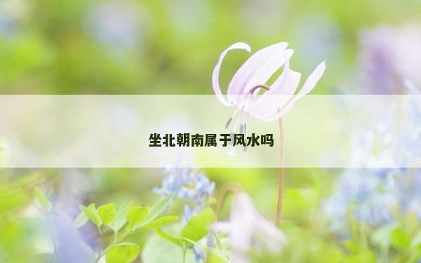 坐北朝南屬于風水嗎