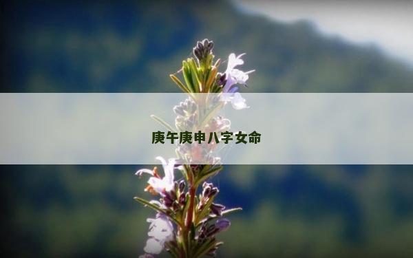 庚午庚申八字女命