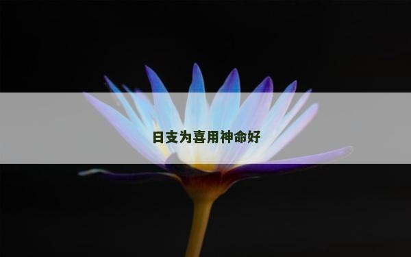 日支為喜用神命好