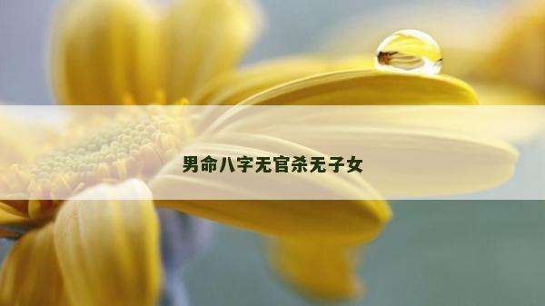 男命八字無官殺無子女