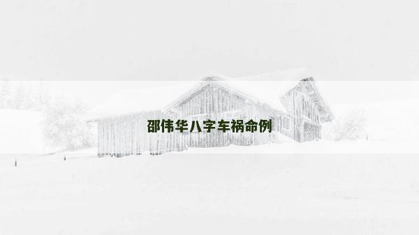 邵偉華八字車禍命例