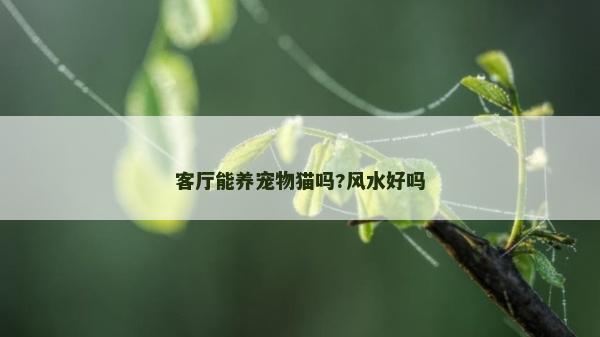 客廳能養(yǎng)寵物貓嗎?風水好嗎
