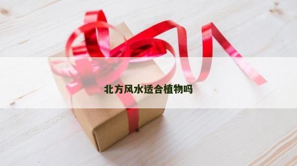 北方風水適合植物嗎