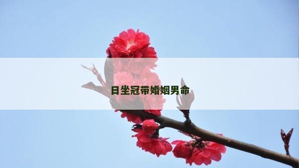 日坐冠帶婚姻男命