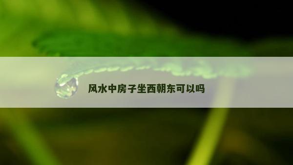 風水中房子坐西朝東可以嗎