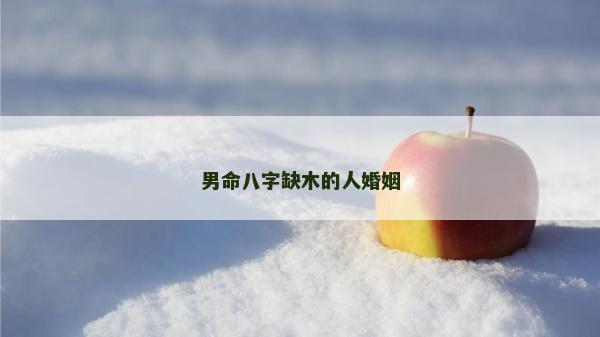 男命八字缺木的人婚姻