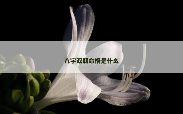 八字雙弱命格是什么