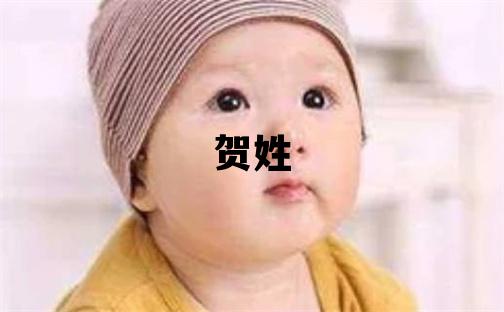 賀姓優美大方的女寶寶名字