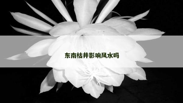 東南枯井影響風水嗎