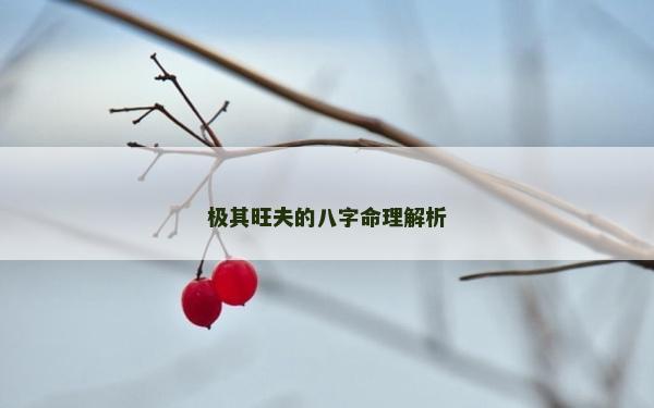 極其旺夫的八字命理解析