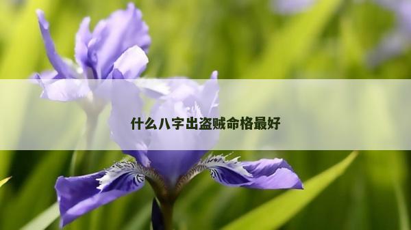 什么八字出盜賊命格最好