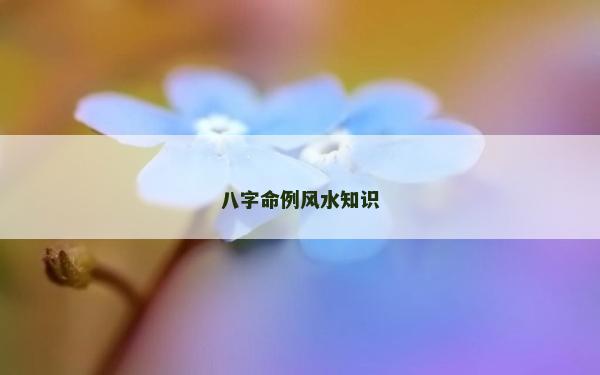 八字命例風水知識 八字命例風水知識