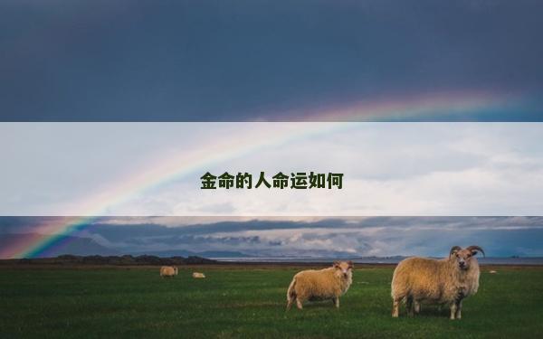 金命的人命運如何 金命的人命運如何