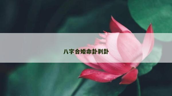 八字合婚命卦剝卦