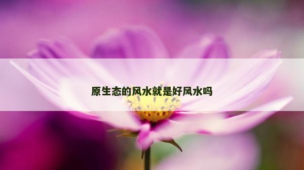原生態的風水就是好風水嗎