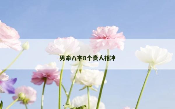 男命八字8個貴人相沖