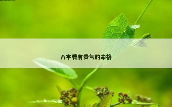 八字看有貴氣的命格