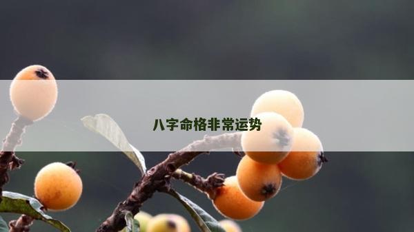 八字命格非常運勢