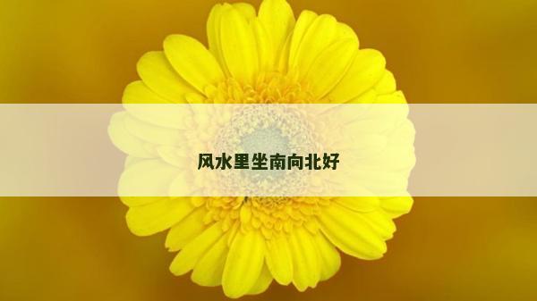 風(fēng)水里坐南向北好