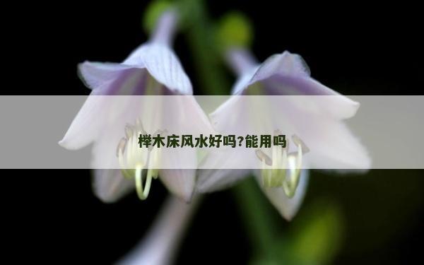 櫸木床風水好嗎?能用嗎