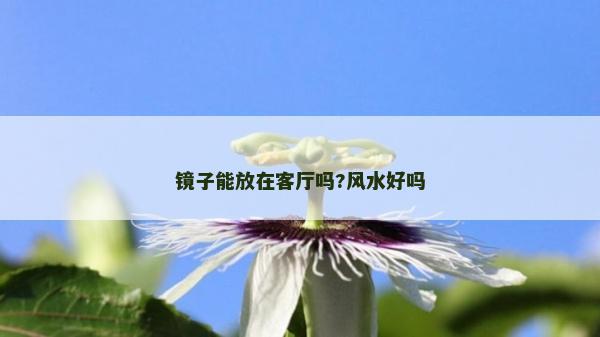 鏡子能放在客廳嗎?風水好嗎