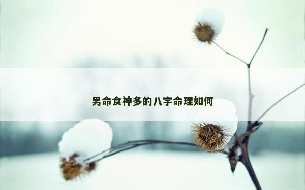 男命食神多的八字命理如何