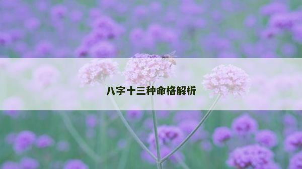 八字十三種命格解析