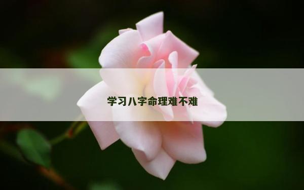 學習八字命理難不難