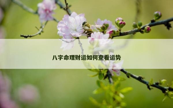 八字命理財運如何查看運勢