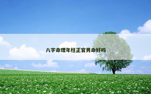 八字命理年柱正官男命好嗎