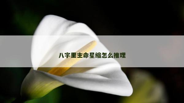 八字里主命星縮怎么推理