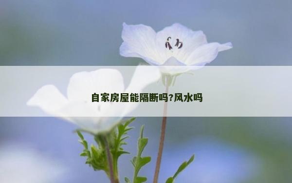 自家房屋能隔斷嗎?風水嗎