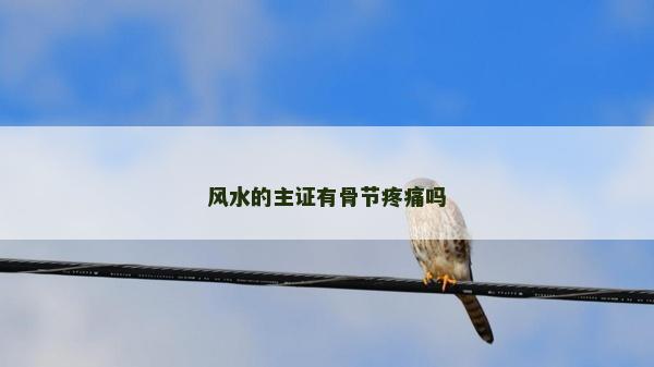 風水的主證有骨節疼痛嗎