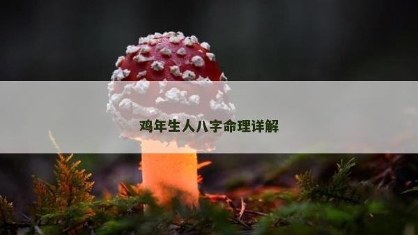 雞年生人八字命理詳解