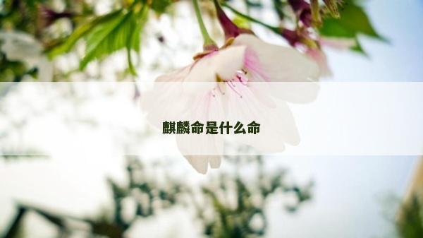 麒麟命是什么命