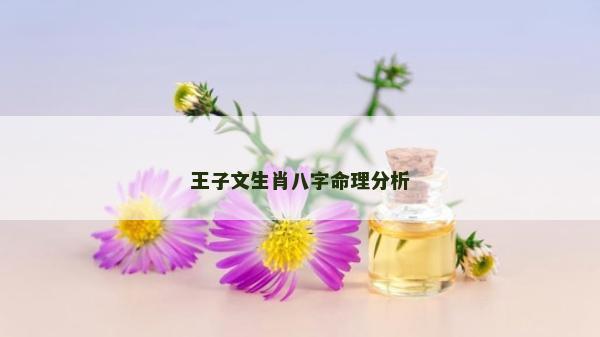 王子文生肖八字命理分析