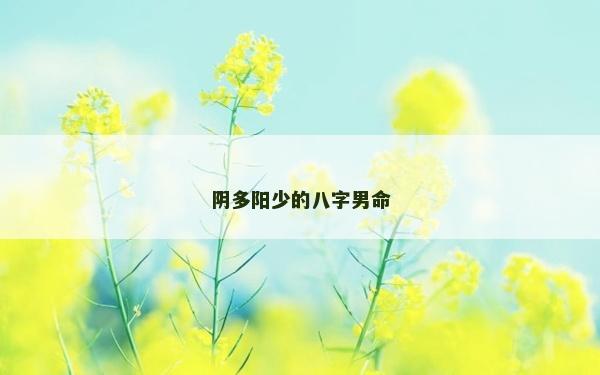 陰多陽少的八字男命