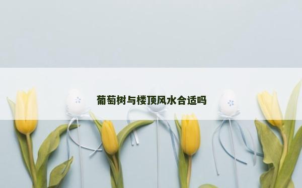 葡萄樹(shù)與樓頂風(fēng)水合適嗎