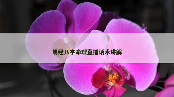 易經八字命理直播話術講解