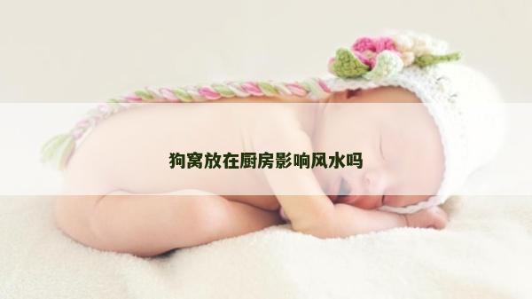 狗窩放在廚房影響風水嗎 狗窩放在廚房影響風水嗎