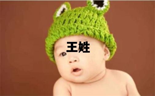 王姓優美大方的男孩名字