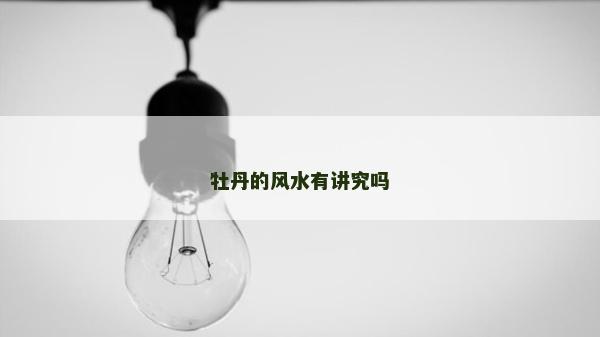牡丹的風水有講究嗎