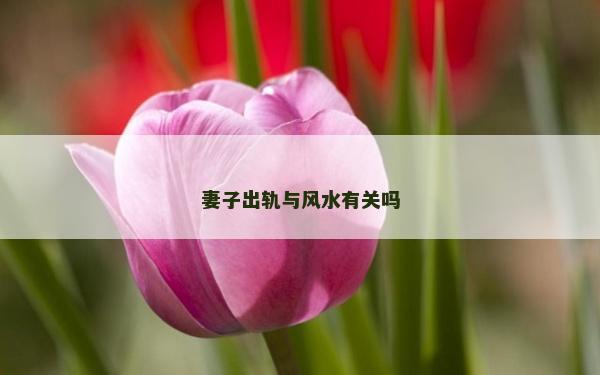 妻子出軌與風水有關嗎 妻子出軌與風水有關嗎